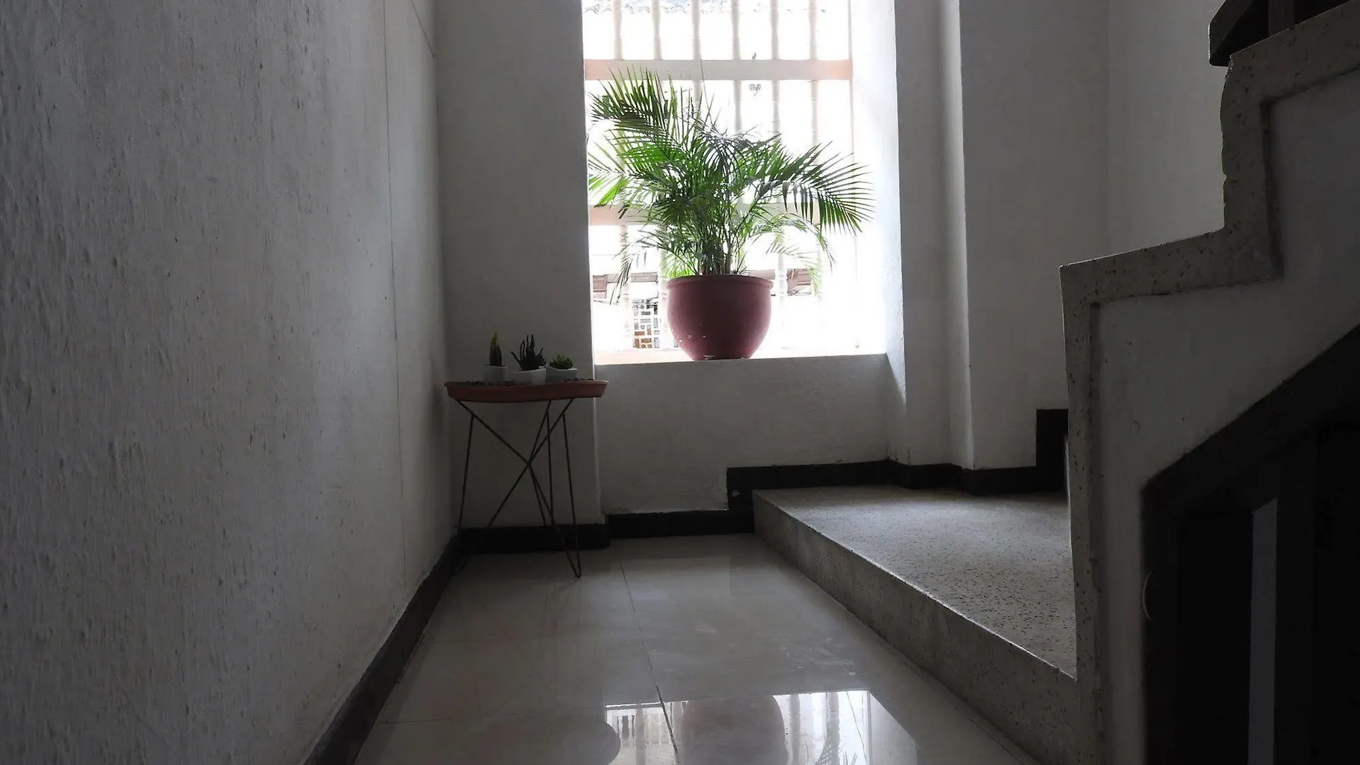 ** Hotel Hostal Don Miguel Cartagena De Indias Colombia
